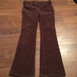 Women’s Blue Cult Pants